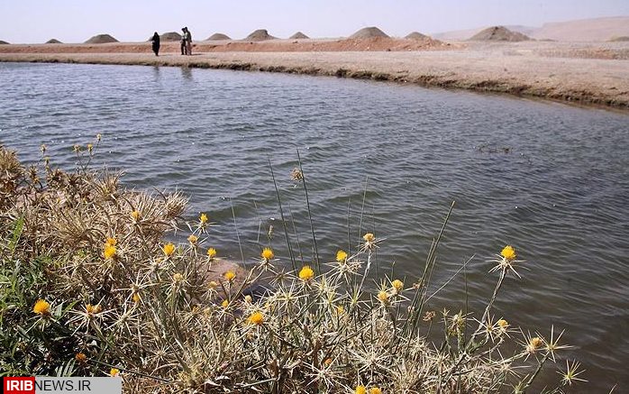 برگزاری کارگاه آموزشی حفاظت از تالاب هشیلان در کرمانشاه