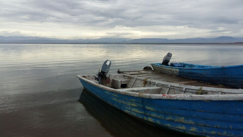 میهمانان تازه برای خانه امید صیادان میهمانان تازه برای خانه امید صیادان