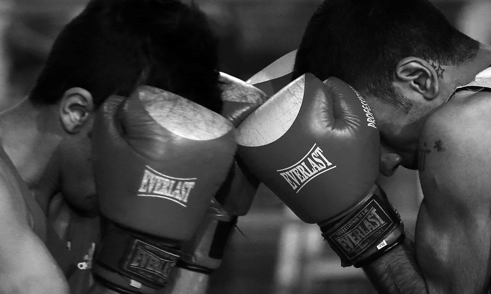 بوکسورهای بزرگسال روی رینگ قهرمانی کشور بوکسورهای بزرگسال روی رینگ قهرمانی کشور