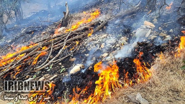 آتش سوزی در مزارع گندم حومه شرقی دهدشت