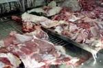 کشف و ضبط تعداد 3 لاشه گاو کشتار غیر مجاز در شوش