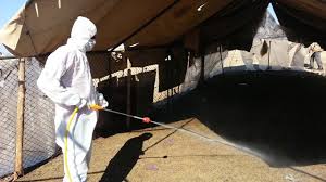 مبارزه با بیماریهای انگلی دام دررابر مبارزه با بیماریهای انگلی دام دررابر