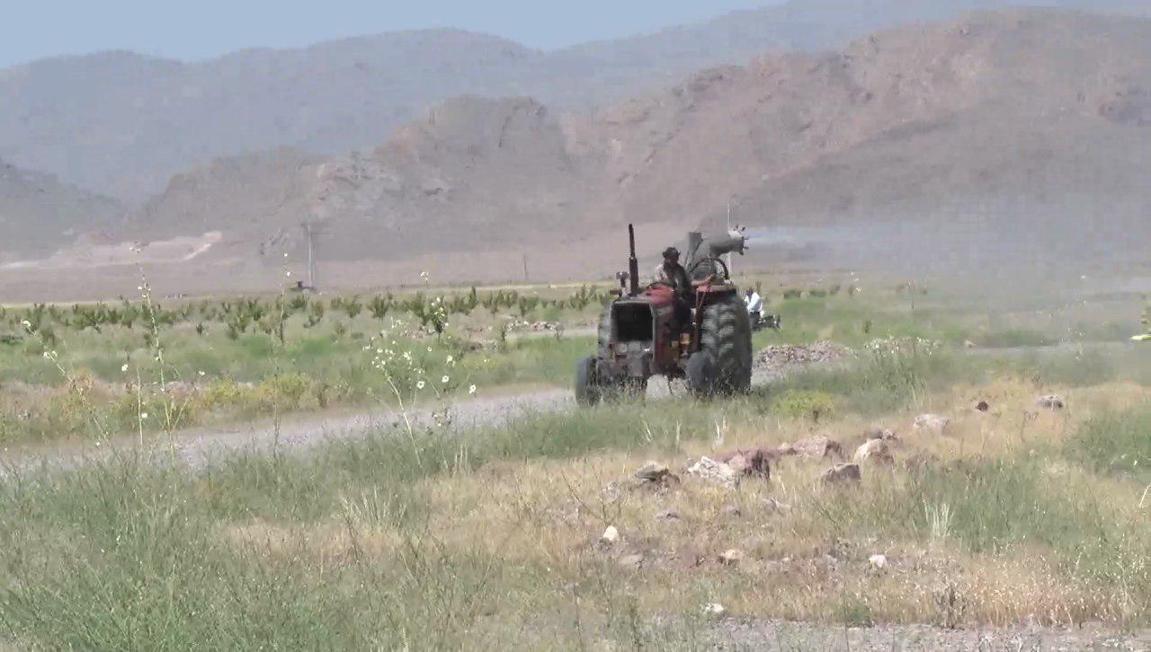 مبارزه با ملخ مراکشی در باغات و مزارع منطقه آزاد ارس مبارزه با ملخ مراکشی در باغات و مزارع منطقه آزاد ارس