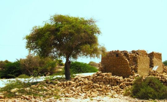 آغاز مُستند نگاری نقشه گردشگری جزیره هنگام+عکس