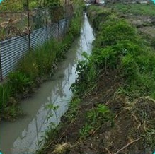 لایروبی 14 کیلومتر کانال زهکشی در گلوگاه