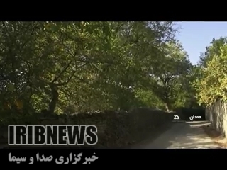 کوچه باغهای گنجنامه همدان در فصل پاییز