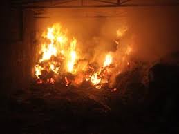 آتش سوزی انبار علوفه یک گاوداری دریکی از روستاهای بردسکن