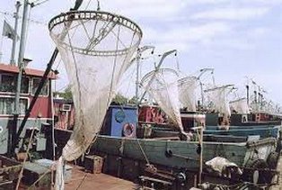 لزوم افزایش سهمیه سوخت شناورهای صیادی