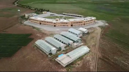 ایستگاه آغجه کهل مراغه مرکز ثقل تولید گندم درکشور