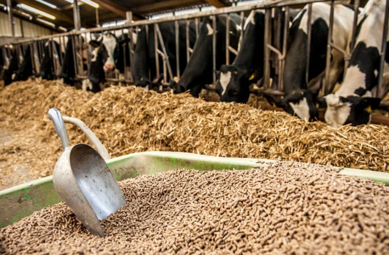ورود۷۵۰ هزار تن خوراک دام سبک و سنگین به استان خراسان رضوی ورود۷۵۰ هزار تن خوراک دام سبک و سنگین به استان خراسان رضوی