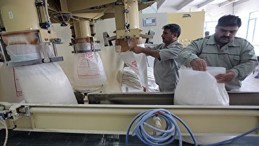 فعالیت ١۶ واحد تولیدی آرد در آذربایجان غربی