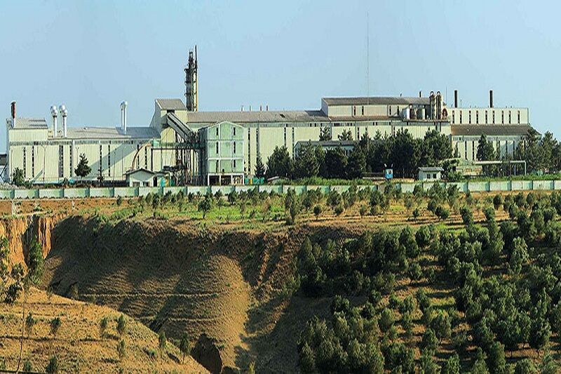 واگذاری شرکت کشت و صنعت و دامپروری مغان، تردیدها وامیدها