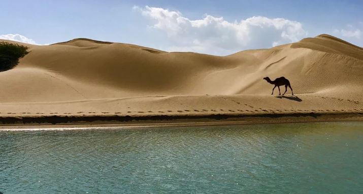 توسعه گردشگری دریایی بین چابهار و بنادر عمان در دستور کار