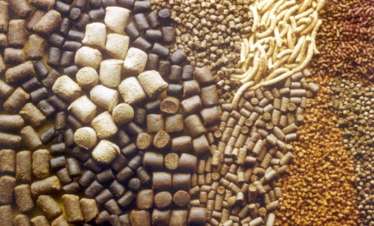 کشف و معدوم سازی ۱۷ تن مکمل خوراک دام در اهواز کشف و معدوم سازی ۱۷ تن مکمل خوراک دام در اهواز