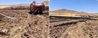 وقوع آتش سوزی در چهار هکتار از گندمزارهای بوکان