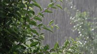 پیش بینی وقوع بارشهای رگباری از عصر امروز در گلستان