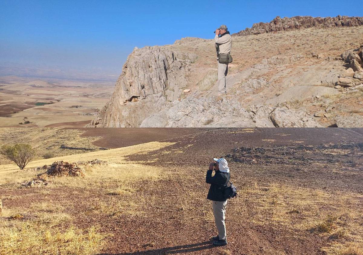 آغاز سرشماری گونه های شاخص پستانداران در منطقه شکار ممنوع فیض الله بهی بوکان