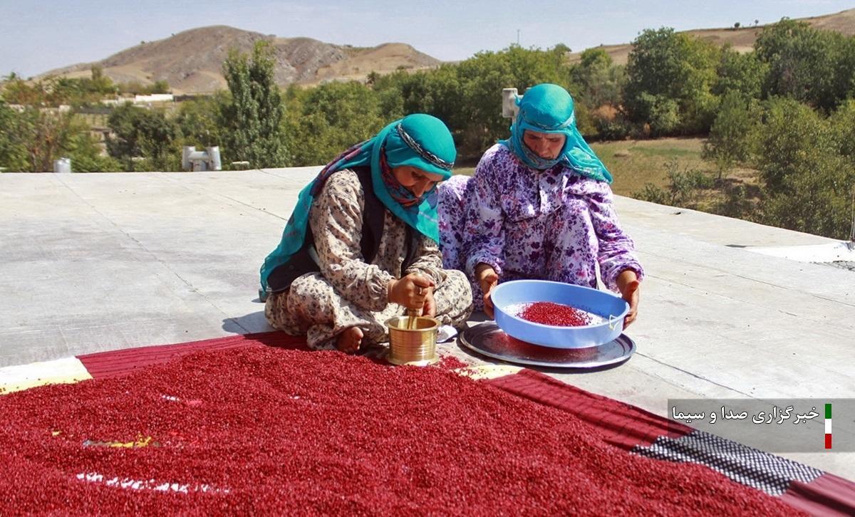 جشنواره سماق شهرستان هوراند در تقویم ملی گردشگری ثبت شد