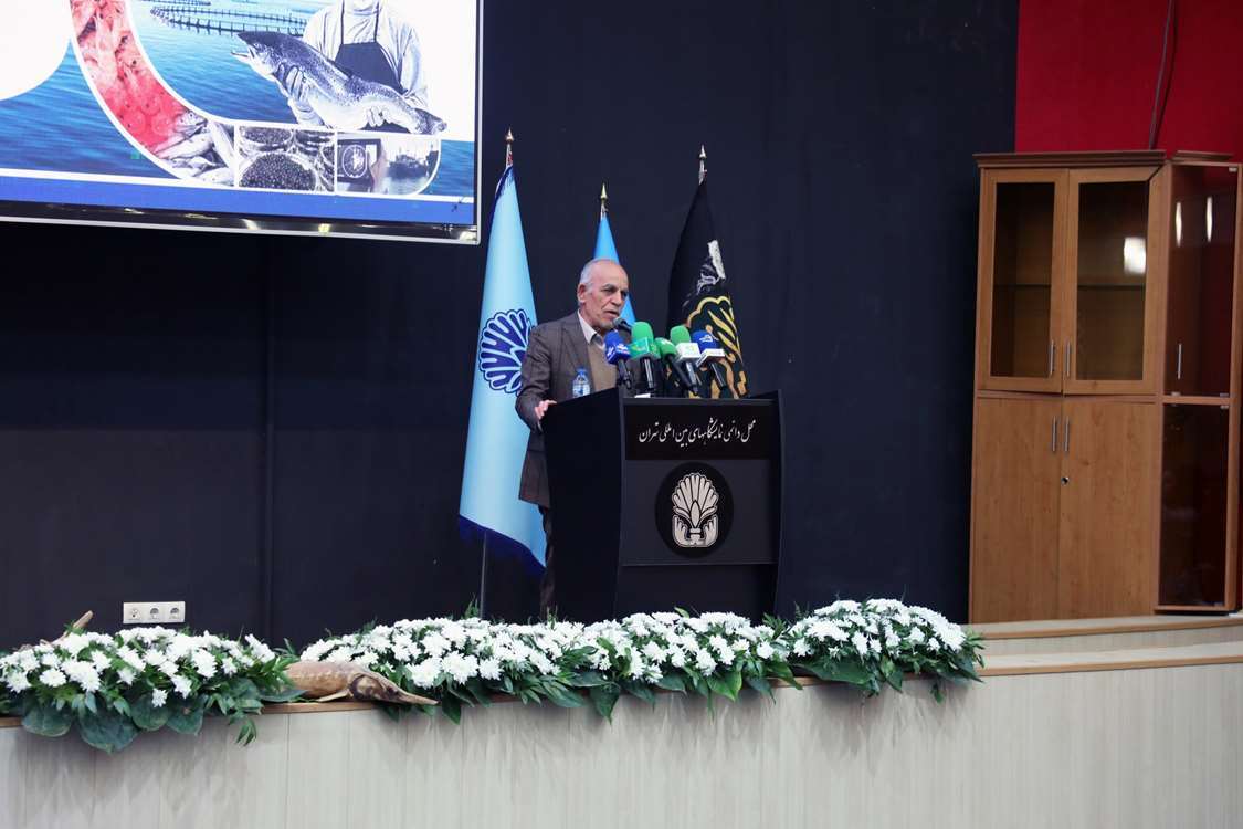 صادرات بخش شیلات باید جایگزین ۳۰ درصد از درآمدهای نفتی شود صادرات بخش شیلات باید جایگزین ۳۰ درصد از درآمدهای نفتی شود