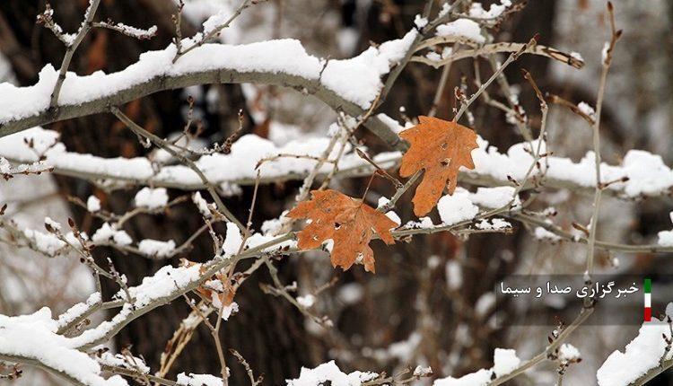 پیش بینی بارش برف و باران در آذربایجان‌ شرقی