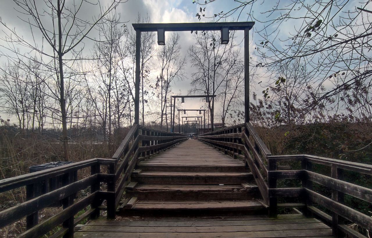 «نوسازی حمل و نقل، نفس تازه شهر» شعار هفته هوای پاک