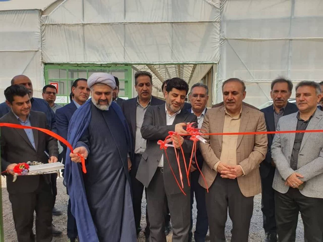 اولویت وزارت جهاد کشاورزی توسعه گلخانه‌ها است