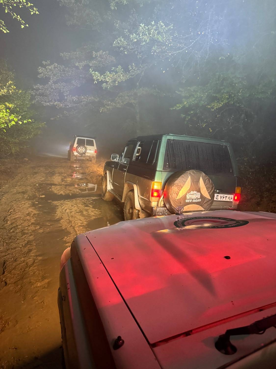 امداد رسانی به گردشگران گرفتار در جنگل ابر شاعهرود