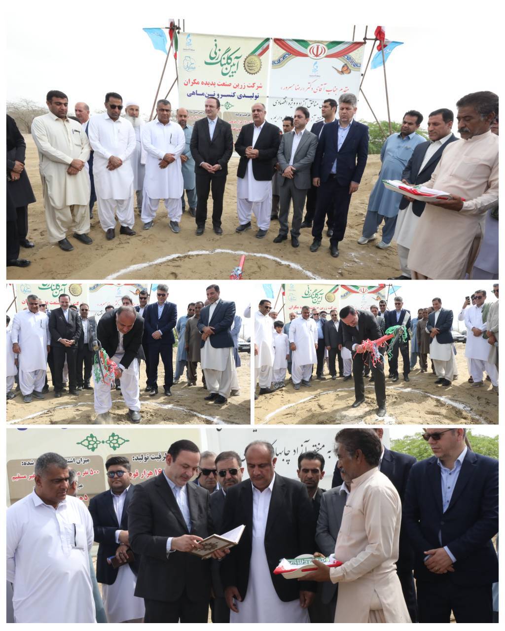 آغاز احداث بزرگترین کارخانه تولیدی کنسرو تن ماهی کشور