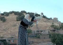 درخشش مستند بلند هیمن خالدی در کره جنوبی