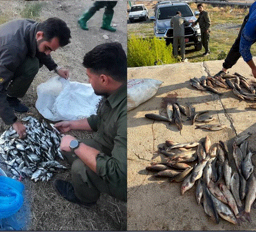 دستگیری صیادان غیرمجاز در منطقه حفاظتشده مراکان دستگیری صیادان غیرمجاز در منطقه حفاظتشده مراکان
