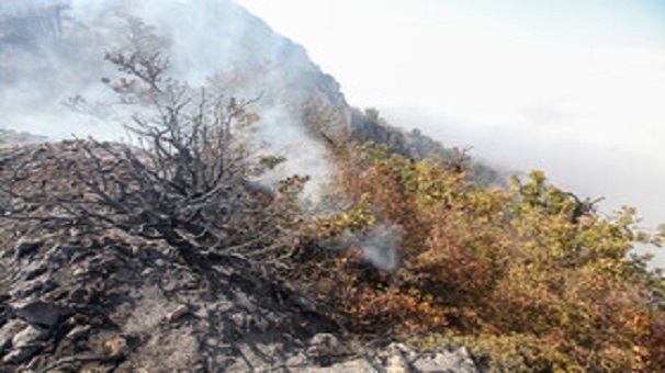 مهار دو مورد آتشسوزی در جنگلهای شهرستان کردکوی مهار دو مورد آتشسوزی در جنگلهای شهرستان کردکوی