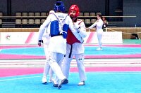 علیرضا شریفی منش از کسب نشان تکواندو بازماند